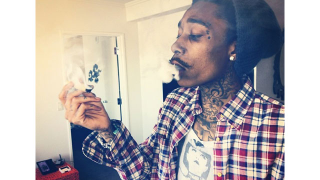 Illustration for article titled Check Out Which Celebs Are Observing 4/20